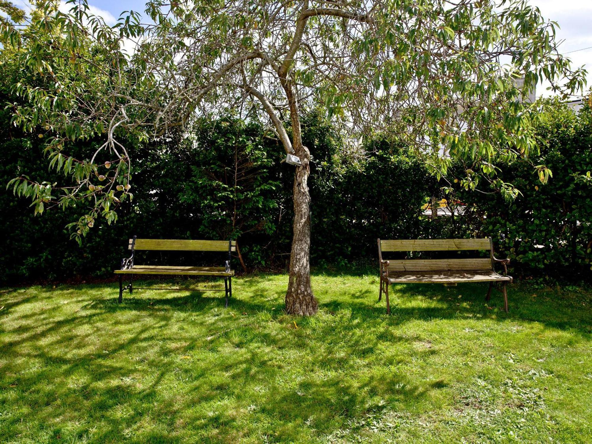 Devon Villa Garden Apartment トーキー エクステリア 写真